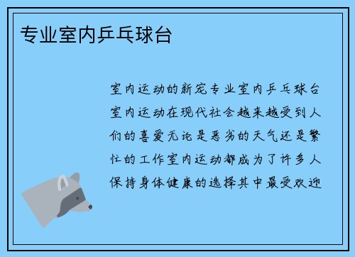 专业室内乒乓球台