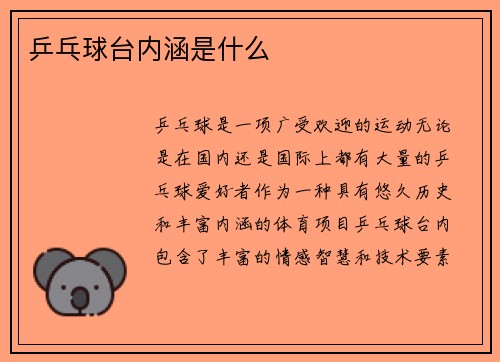 乒乓球台内涵是什么