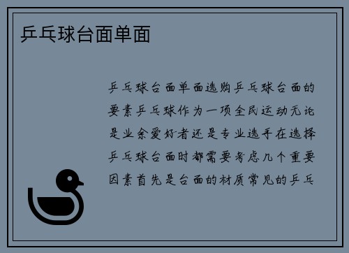 乒乓球台面单面