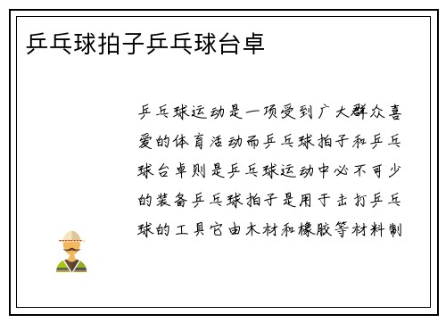 乒乓球拍子乒乓球台卓