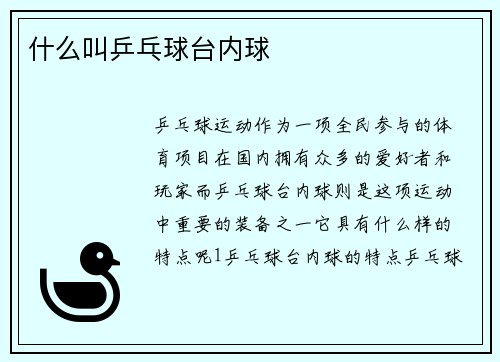 什么叫乒乓球台内球