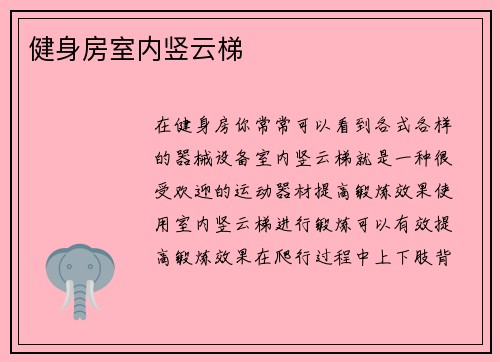 健身房室内竖云梯